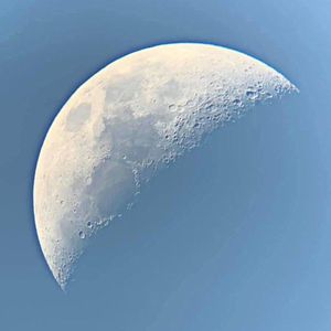 Full Portfolio Gallery